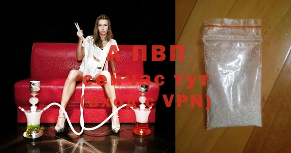ПСИЛОЦИБИНОВЫЕ ГРИБЫ Белоозёрский