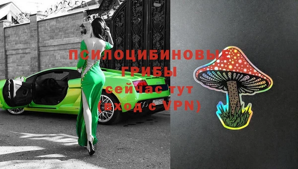 ПСИЛОЦИБИНОВЫЕ ГРИБЫ Белоозёрский