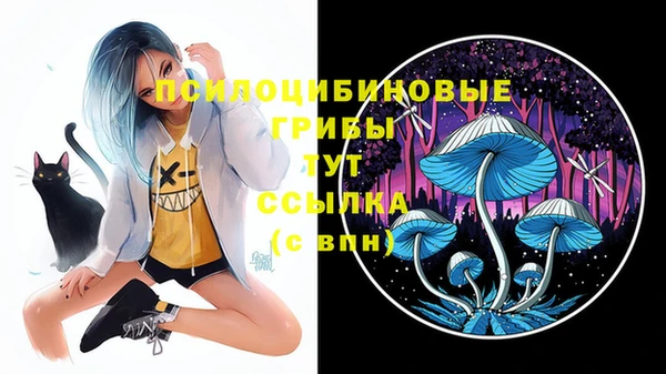ПСИЛОЦИБИНОВЫЕ ГРИБЫ Белоозёрский